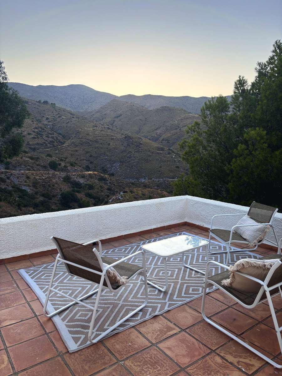 The back terrace