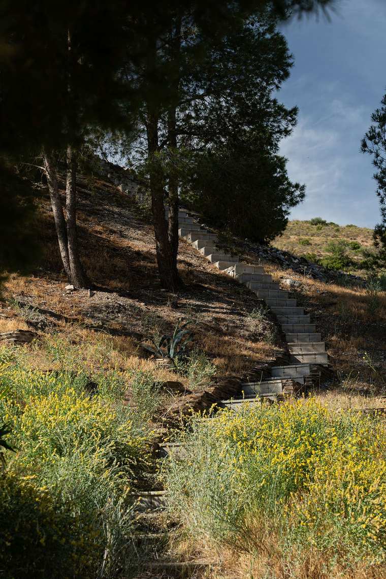 Trails from the door
